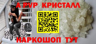 твердый Кингисепп
