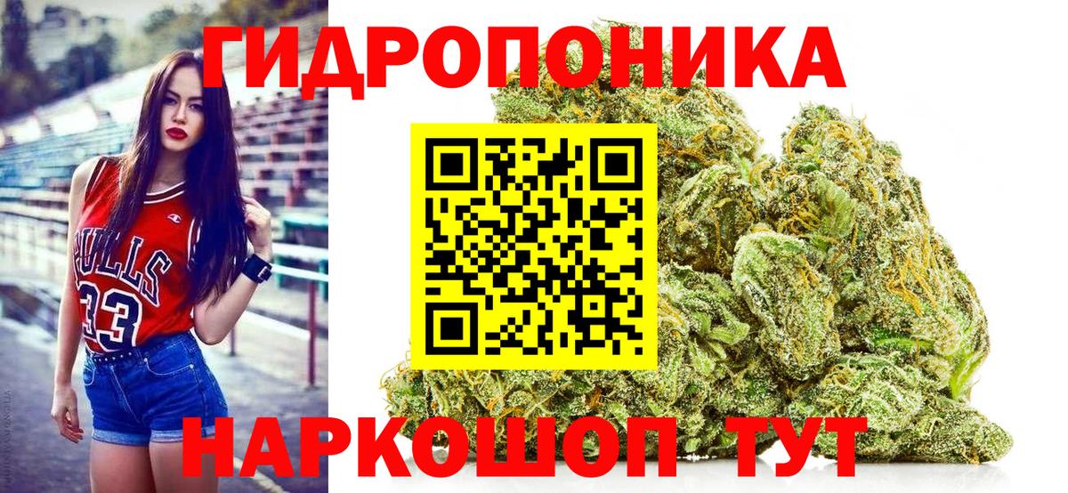 Канабис SATIVA & INDICA  Конопля сатива  Вход с VPN  Бошки марихуана планчик  Новоалтайск 